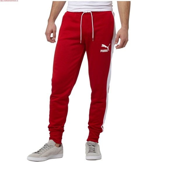 puma 3xl puma 3xl